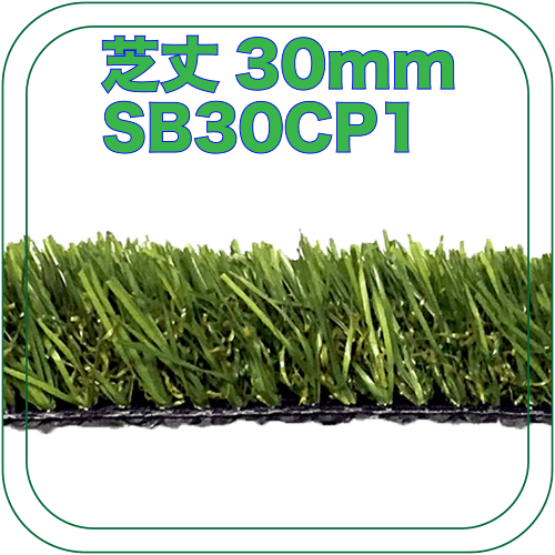 芝丈30mmSB30CP1